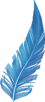 lightwork_feather-small
